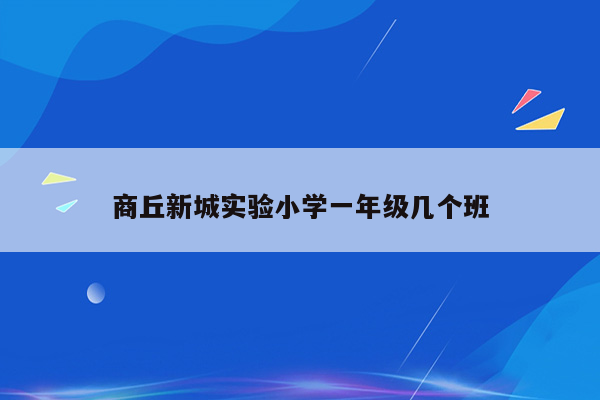 商丘新城实验小学一年级几个班
