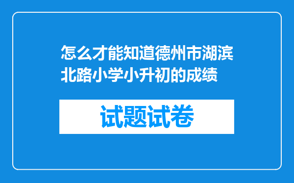 怎么才能知道德州市湖滨北路小学小升初的成绩