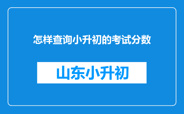 怎样查询小升初的考试分数
