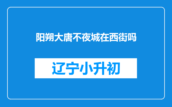 阳朔大唐不夜城在西街吗