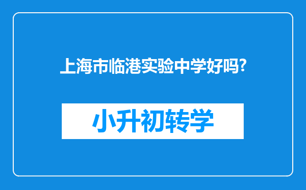 上海市临港实验中学好吗?