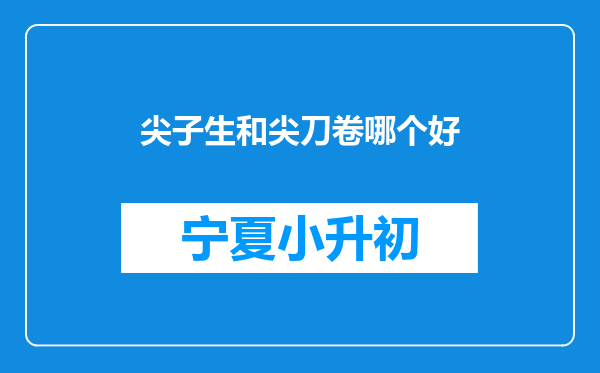 尖子生和尖刀卷哪个好