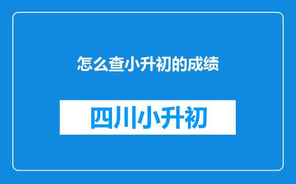 怎么查小升初的成绩