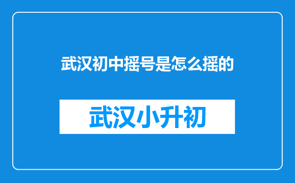武汉初中摇号是怎么摇的