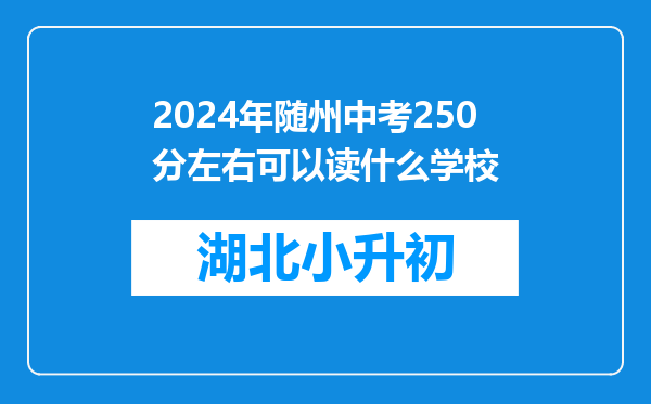 2024年随州中考250分左右可以读什么学校