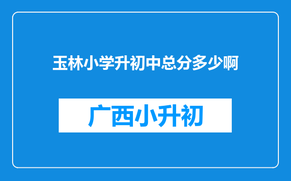 玉林小学升初中总分多少啊