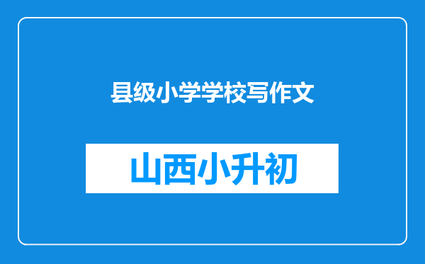 县级小学学校写作文
