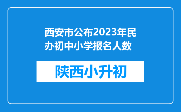 西安市公布2023年民办初中小学报名人数