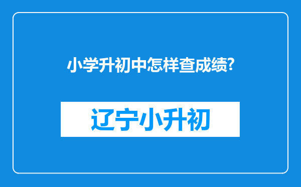 小学升初中怎样查成绩?