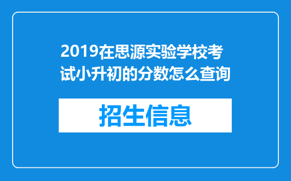 2019在思源实验学校考试小升初的分数怎么查询