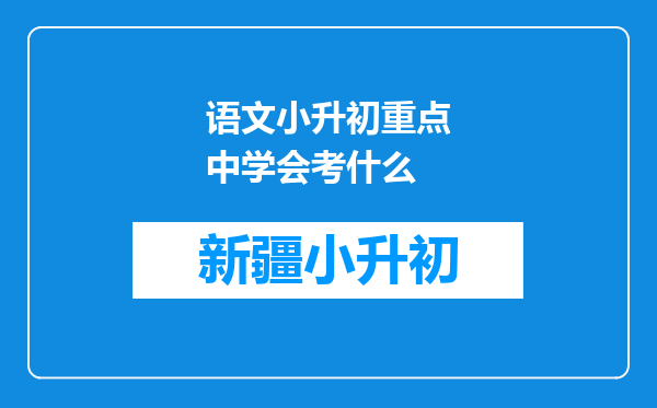 语文小升初重点中学会考什么