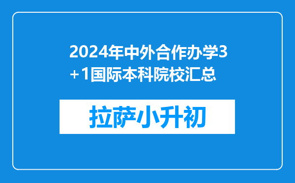 2024年中外合作办学3+1国际本科院校汇总