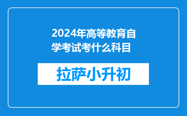 2024年高等教育自学考试考什么科目