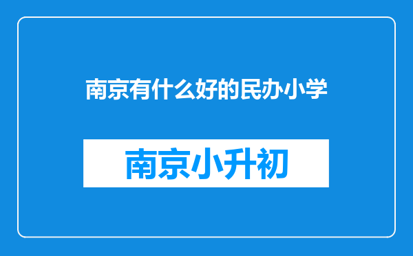 南京有什么好的民办小学