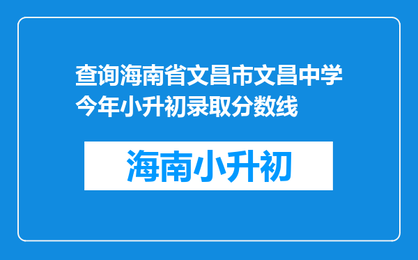 查询海南省文昌市文昌中学今年小升初录取分数线