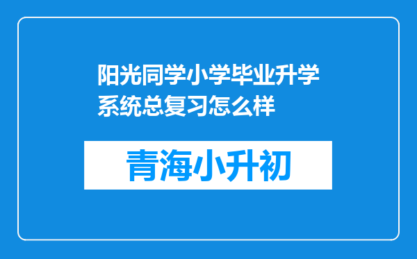 阳光同学小学毕业升学系统总复习怎么样