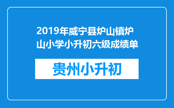 2019年威宁县炉山镇炉山小学小升初六级成绩单
