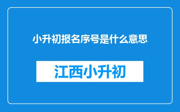 小升初报名序号是什么意思