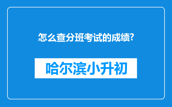 怎么查分班考试的成绩?