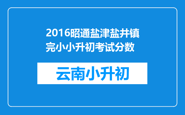2016昭通盐津盐井镇完小小升初考试分数