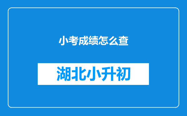 小考成绩怎么查