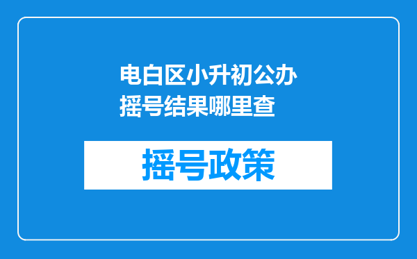 电白区小升初公办摇号结果哪里查