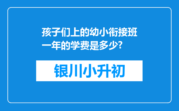 孩子们上的幼小衔接班一年的学费是多少?