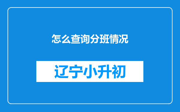 怎么查询分班情况
