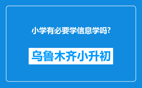小学有必要学信息学吗?