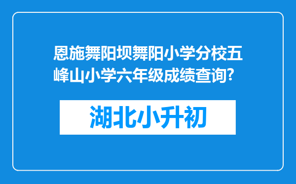 恩施舞阳坝舞阳小学分校五峰山小学六年级成绩查询?