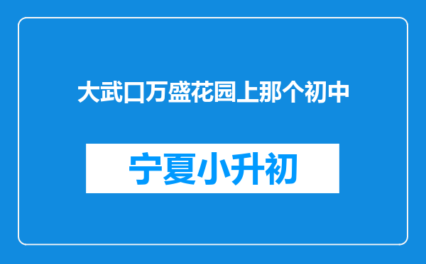 大武口万盛花园上那个初中