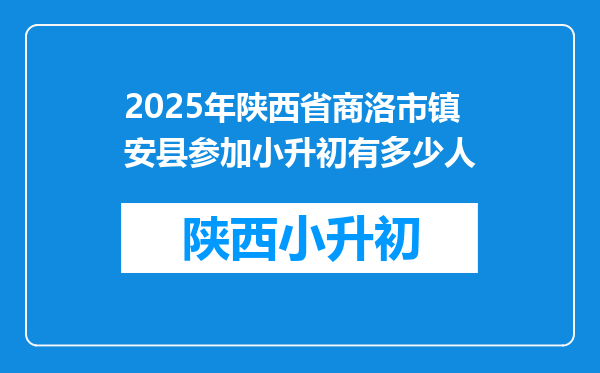 2025年陕西省商洛市镇安县参加小升初有多少人
