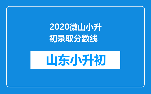 2020微山小升初录取分数线