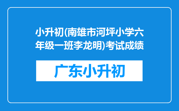 小升初(南雄市河坪小学六年级一班李龙明)考试成绩