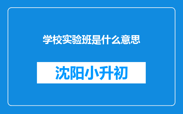 学校实验班是什么意思