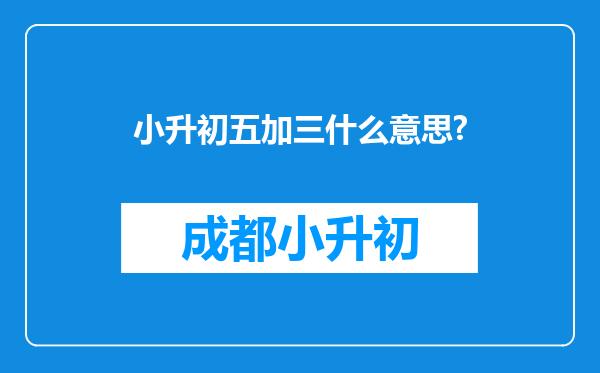 小升初五加三什么意思?