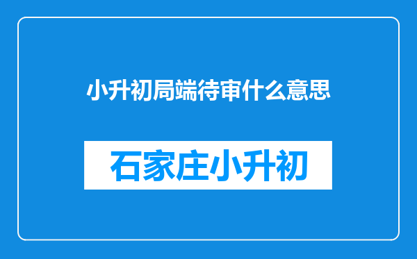 小升初局端待审什么意思