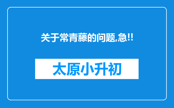 关于常青藤的问题,急!!