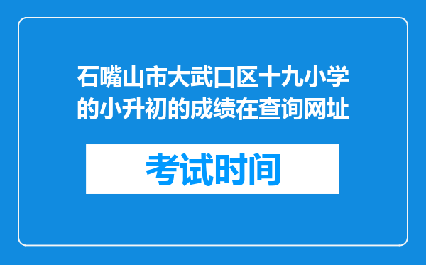 石嘴山市大武口区十九小学的小升初的成绩在查询网址