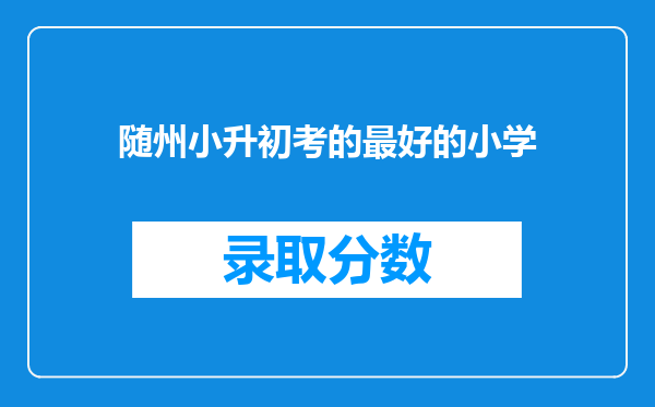 随州小升初考的最好的小学