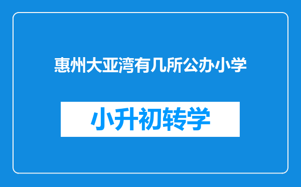 惠州大亚湾有几所公办小学