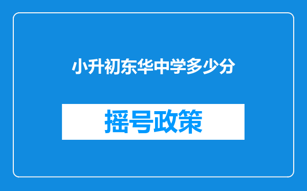 小升初东华中学多少分