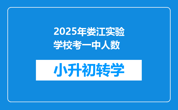 2025年娄江实验学校考一中人数