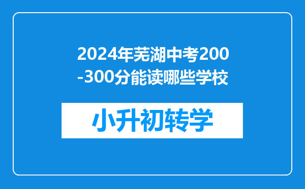 2024年芜湖中考200-300分能读哪些学校