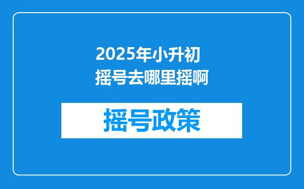 2025年小升初摇号去哪里摇啊