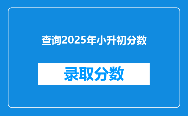 查询2026年小升初分数