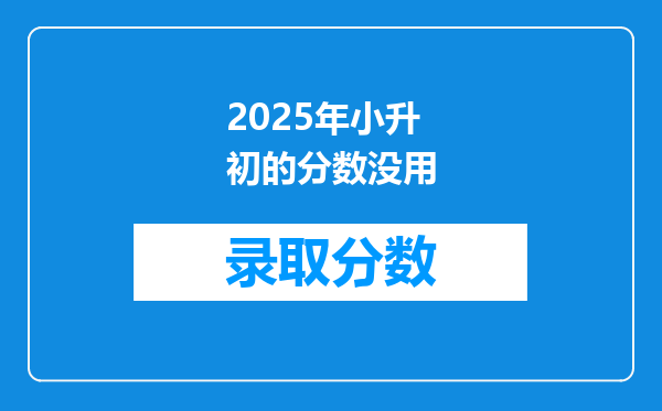 2025年小升初的分数没用