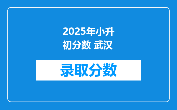 2025年小升初分数 武汉