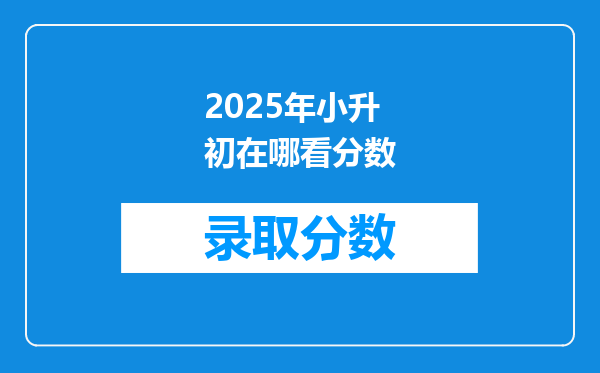 2025年小升初在哪看分数