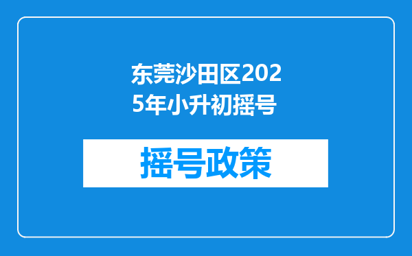 东莞沙田区2025年小升初摇号